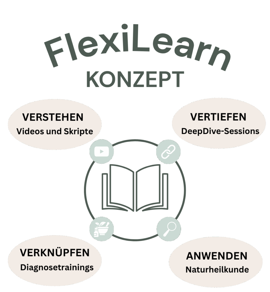 EIRA FlexiLearn Konzept